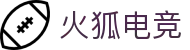 火狐电竞 - 助你从观赛到懂赛的进阶指南